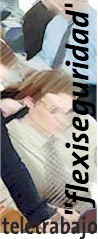 20070119060733-flexi.jpg